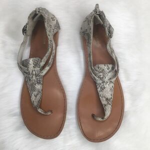 7 Gray Faux Snake Leather Thong Slingback Flat Sandal